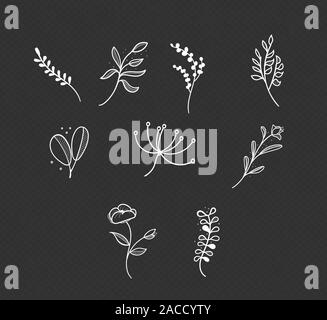 Botanical logo Maßbild vecctor im Set Stock Vektor