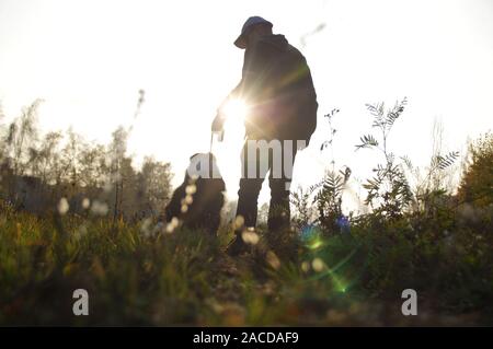 Silhouette eines Mannes mit einem Hund auf einem Spaziergang. Border Collie auf der Wiese gegen die Strahlen der untergehenden Sonne. Stockfoto