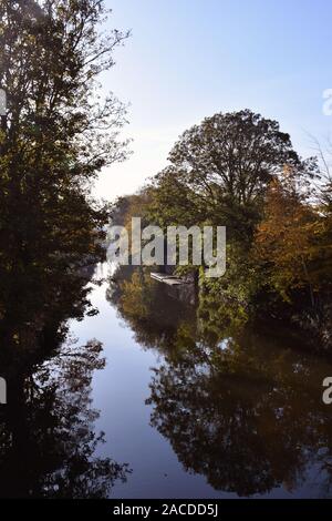 Herbstliche Farben, Fluss Wensum, Norwich UK November 2019 Stockfoto