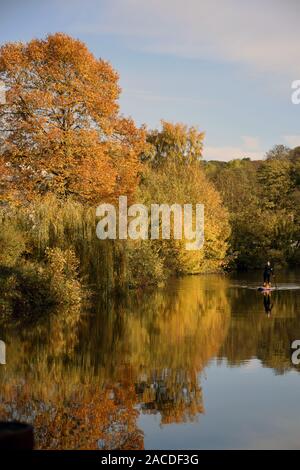 Frau paddleboarding am Fluss Wensum, Norwich UK November 2019 Stockfoto