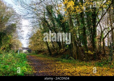 Die alte Eisenbahn gehen Das ist die alte Trasse einer Eisenbahn von Sudbury zu Cambridge, welche nunmehr die Clare Castle Country Park in Suffolk, E Stockfoto