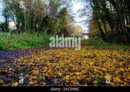 Die alte Eisenbahn gehen Das ist die alte Trasse einer Eisenbahn von Sudbury zu Cambridge, welche nunmehr die Clare Castle Country Park in Suffolk, E Stockfoto