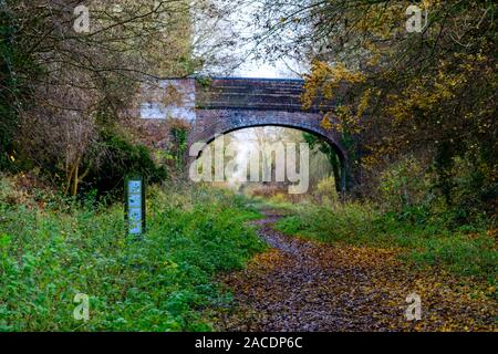 Die alte Eisenbahn gehen Das ist die alte Trasse einer Eisenbahn von Sudbury zu Cambridge, welche nunmehr die Clare Castle Country Park in Suffolk, E Stockfoto