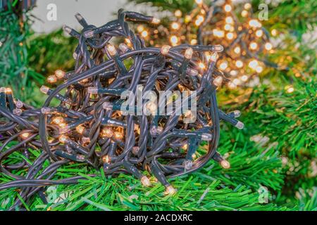 Weihnachtsbaumbeleuchtungen ball aufschlussreich. Eine Reihe von low voltage String festliche LED auf grün Kabel mit Lichteffekt & bokeh defokussiertem Hintergrund. Stockfoto