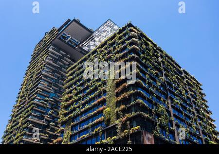 Allgemeine Ansichten mit einem zentralen Park, um Chippendale Grün, Sydney gebaut wird. Das Gebäude selbst wurde vom award-winning Pariser arc Stockfoto