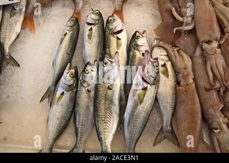 Meer Fisch auf einem Markt in Griechenland. Die fische Warten auf Kunden. Stockfoto