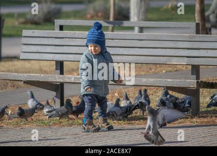 Kleiner Junge mit Tauben im City Park in Belgrad, Serbien Stockfoto