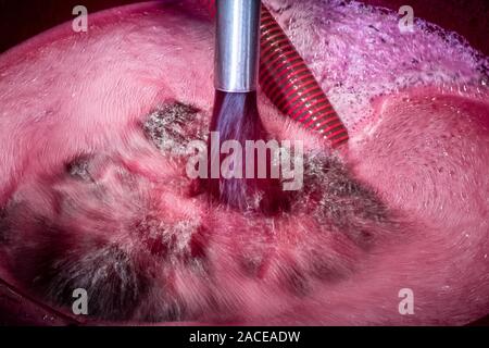 Montalcino Tal, Siena, Luxus Weinberg und den Anbau von Weintrauben, Verarbeitung und Pflege im Land der roten und weißen toskanischen Weine wie Brunello Stockfoto