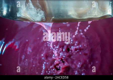 Montalcino Tal, Siena, Luxus Weinberg und den Anbau von Weintrauben, Verarbeitung und Pflege im Land der roten und weißen toskanischen Weine wie Brunello Stockfoto