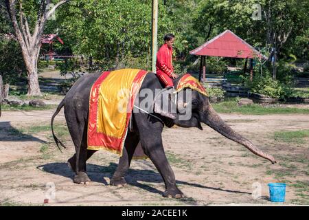 SAMUT PRAKAN, Thailand, 18. Mai 2019 Leistung eines trainierten Elefanten in einem thailändischen Zoo. Die traditionelle Show mit Elefanten auf offener Szene. Stockfoto