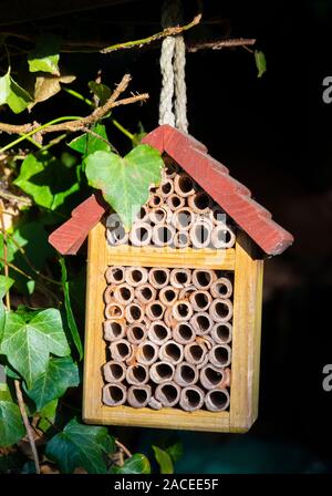 Hängenden garten Insekt und Biene Haus oder Hotel in Berkshire, England, Großbritannien Stockfoto