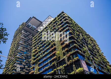 Allgemeine Ansichten mit einem zentralen Park, um Chippendale Grün, Sydney gebaut wird. Das Gebäude selbst wurde vom award-winning Pariser arc Stockfoto