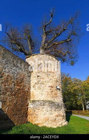 Außenwand mit Eckturm der mittelalterlichen Festung namens "Burg Steinsberg" in der deutschen Stadt Sinsheim Stockfoto