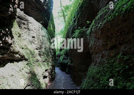 Wanderweg durch den Drachen Schlucht im Thüringer Wald in der Nähe von Eisenach Stockfoto