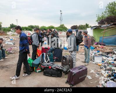 Polizei- und Beamte der Agentur, die Räumung von rumänischen Einwanderer aus einem Elendsviertel auf einem verlassenen Ort an der ehemaligen Hendon United Football Ground in North West London gebaut. Stockfoto