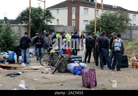 Polizei- und Beamte der Agentur, die Räumung von rumänischen Einwanderer aus einem Elendsviertel auf einem verlassenen Ort an der ehemaligen Hendon United Football Ground in North West London gebaut. Stockfoto