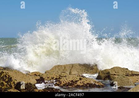 Wellen, Wellen, die über Felsen brechen, Wellen, die durch starke onshore Wind Absturz mit großer Kraft auf die Felsen getrieben. Stockfoto