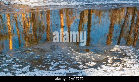 Frozen stream Header. Wasser in Gefrorener Fluss mit reflektierendem blauen Himmel und Bäume Stockfoto