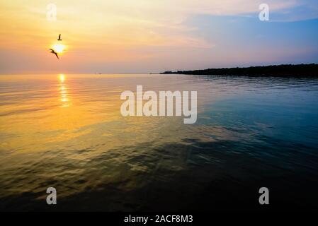 Schöne Natur Landschaft für Hintergrund hell Sonne goldenes Sonnenlicht reflektieren die Wasser, zwei Vögel ein paar Möwen fliegen auf gelb, orange sky bei s Stockfoto