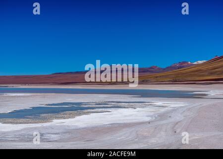 Laguna Blanca, Reserva Nacional de Fauna Andina Eduardo Avaroa, südlichen Altiplano, Abteilung Hagen, im Südwesten von Bolivien, Lateinamerika Stockfoto