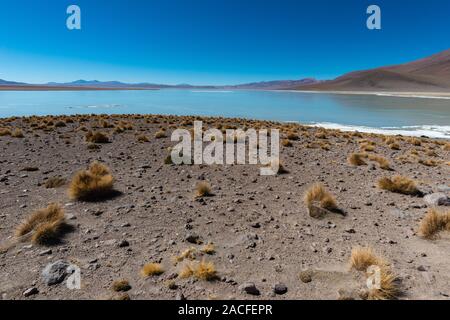 Laguna Polques, Park Reserva de Fauna Andina Eduardo Avaroa, im Südwesten von Bolivien, Potosi, südlichen Altiplano, Lateinamerika Stockfoto