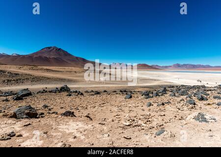 Laguna Blanca, Reserva Nacional de Fauna Andina Eduardo Avaroa, südlichen Altiplano, Abteilung Hagen, im Südwesten von Bolivien, Lateinamerika Stockfoto