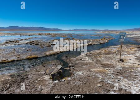 Laguna Polques, Park Reserva de Fauna Andina Eduardo Avaroa, südlichen Altiplano, Abteilung Hagen, im Südwesten von Bolivien, Lateinamerika Stockfoto