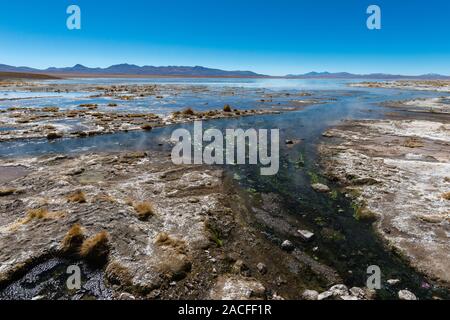 Laguna Polques, Park Reserva de Fauna Andina Eduardo Avaroa, südlichen Altiplano, Abteilung Hagen, im Südwesten von Bolivien, Lateinamerika Stockfoto