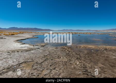 Laguna Polques, Park Reserva de Fauna Andina Eduardo Avaroa, südlichen Altiplano, Abteilung Hagen, im Südwesten von Bolivien, Lateinamerika Stockfoto