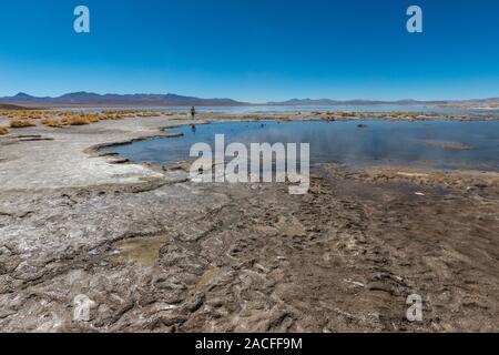 Laguna Polques, Park Reserva de Fauna Andina Eduardo Avaroa, südlichen Altiplano, Abteilung Hagen, im Südwesten von Bolivien, Lateinamerika Stockfoto