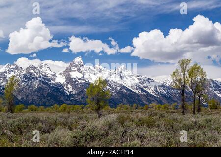 Die Grand Teton vom Grand Teton National Park gesehen. Stockfoto