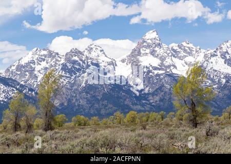 Die Grand Teton steigt 13,770 Meter über dem Meeresspiegel, so dass es zweithöchste Berg von Wyoming. Stockfoto