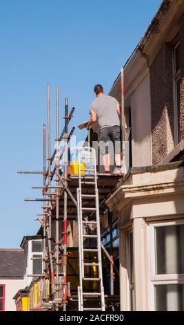 Handwerker in Shorts holding Gipskartonplatten während stehend auf Gerüsten Bretter befestigt Gerüst mit einer Schiebeleiter lehnte sich gegen sie. Stockfoto