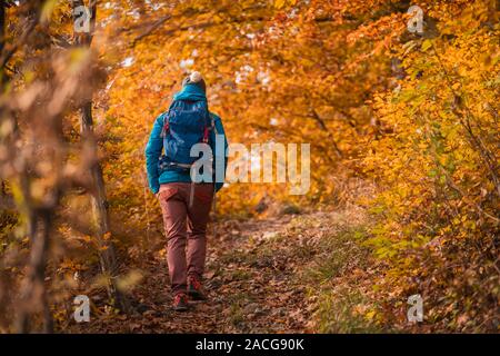 Frau wandern in einem herbstlichen Wald, Salzburg, Österreich Stockfoto