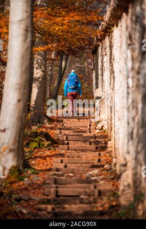 Frau wandern in einem herbstlichen Wald, Salzburg, Österreich Stockfoto