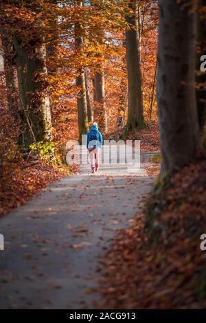 Frau wandern in einem herbstlichen Wald, Salzburg, Österreich Stockfoto