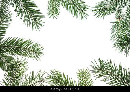 Kreative Weihnachten Zusammensetzung aus grünem Tannenbaum Äste auf weißem Hintergrund, isoliert. Winter layout Konzept. Natur Neues Jahr mockup. Flach, Ansicht von oben, kopieren. Stockfoto