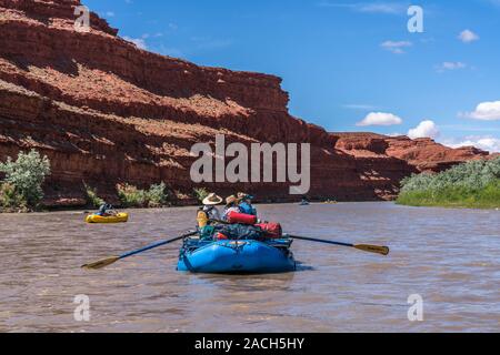 Eine Frau Rudern auf eine Familie Rafting Trip durch die Schlucht des San Juan River im Südosten von Utah, USA. Stockfoto