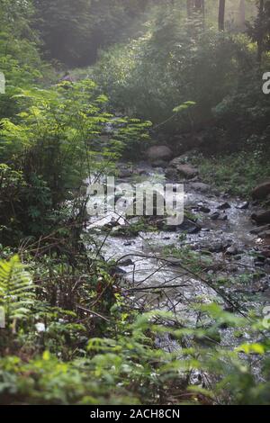 Die Berge in präzise Beantwortung in West Bandung Regency, bieten natürliche Coolness, viele Pinien, die die Atmosphäre machen entspannen. Genießen Stockfoto