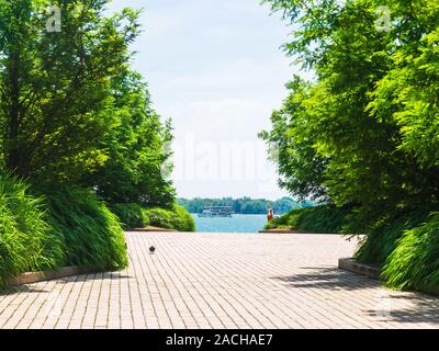 Taube, die an einem heißen Sommertag durch den Canada Square Park spazieren, mit einem Schiff im Hintergrund. Stockfoto