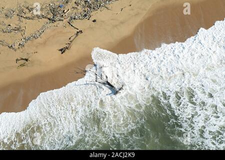 Durban, KwaZulu-Natal, Südafrika, Landschaft, Kunststoff Verschmutzung, Tote lügen Baum im Surf, Sturmschäden, Schaum ein Auslaufen von Strand, Ablagerungen Stockfoto