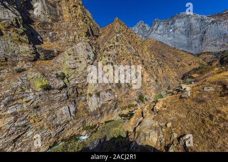 Blick entlang der Kings Canyon Scenic Byway, SR 180, durch Giant Sequoia National Monument, Sequoia National Forest, Kalifornien, USA Stockfoto