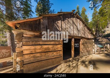 Historische Gamlin Cabin in der Grant Grove von gigantischen Sequoia Bäumen im Kings Canyon National Park, Kalifornien, USA Stockfoto