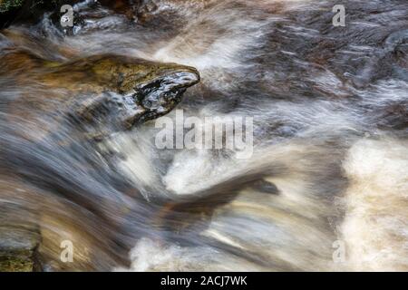 Schnell fließendem Wasser und Felsen in den Wasserfall auf der Kennick Brennen, Dumfries und Galloway, Schottland Stockfoto