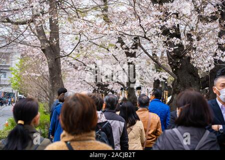 TOKYO, Japan - 29. MÄRZ 2019: Cherry Blossom Festival in Chidorigafuchi Park. Chidorigafuchi Park ist einer der besten Ort, um es zu genießen Stockfoto