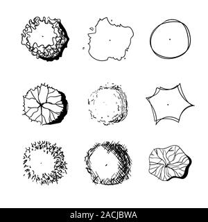 Hand gezeichnet von Grafik Bäume, Ansicht von oben, für die Architektur und Landschaft. Stock Vektor