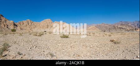 Panorama der Jebal Jais Berggebiet in Ras Al Khaimah, Vereinigte Arabische Emirate an einem schönen sonnigen Tag mit blauen Himmel Stockfoto