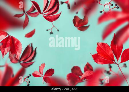 Lila Blätter und Beeren sowie blauen Schweben auf blauem Hintergrund. Transparent luftigen Herbst frame, kopieren. Stockfoto