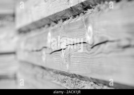 Eine hölzerne Wand von Logs und trockenem Moos Nahaufnahme. Zusammenfassung Hintergrund schwarz und weiß Stockfoto