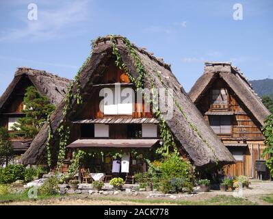 Drei Bauernhäusern in Shirakawa-go Stockfoto